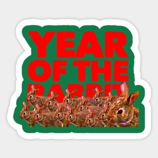 Year Of The Rabbit Sticker